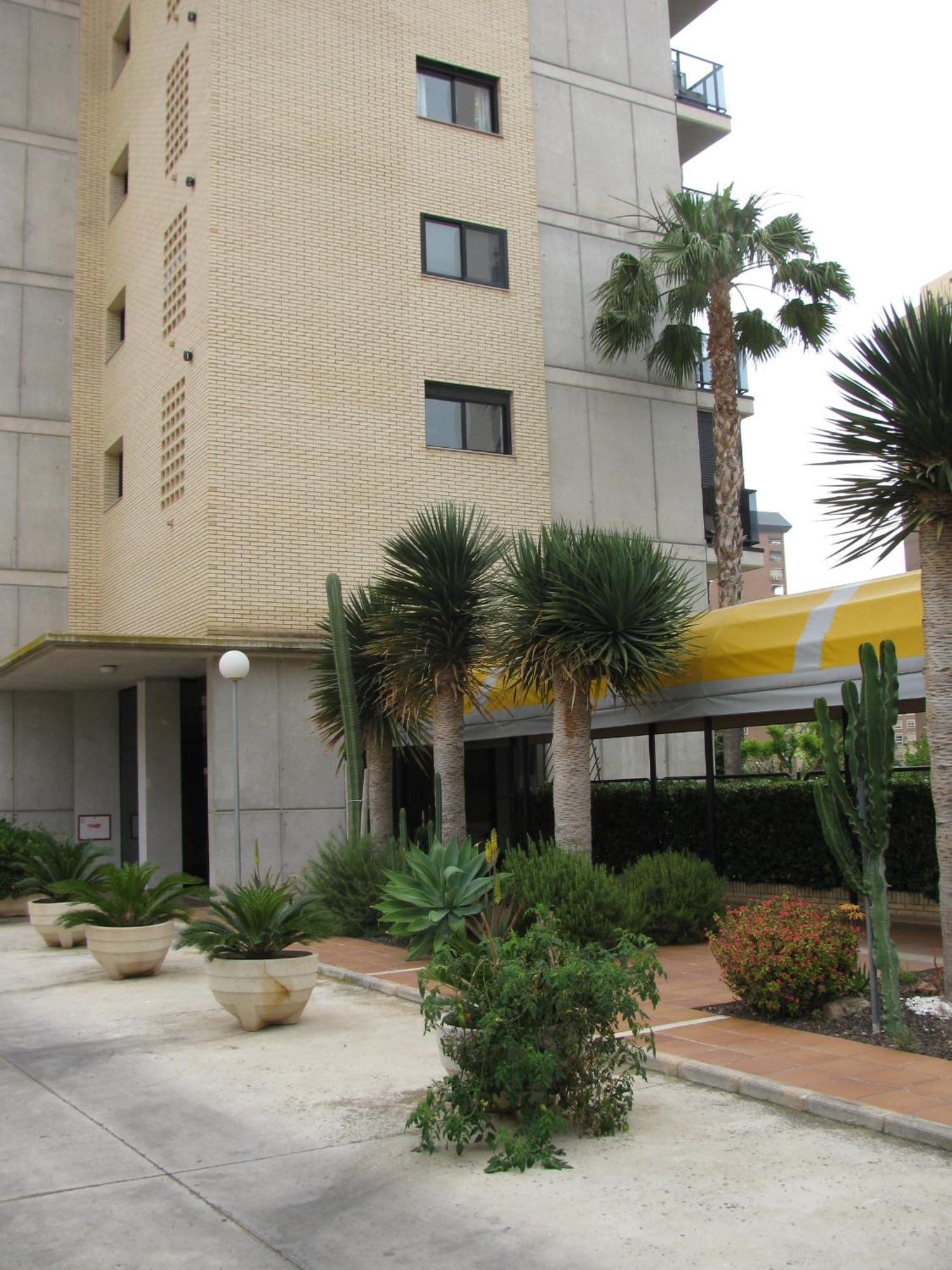 Apartamentos Torre Ipanema Бенидорм Екстериор снимка