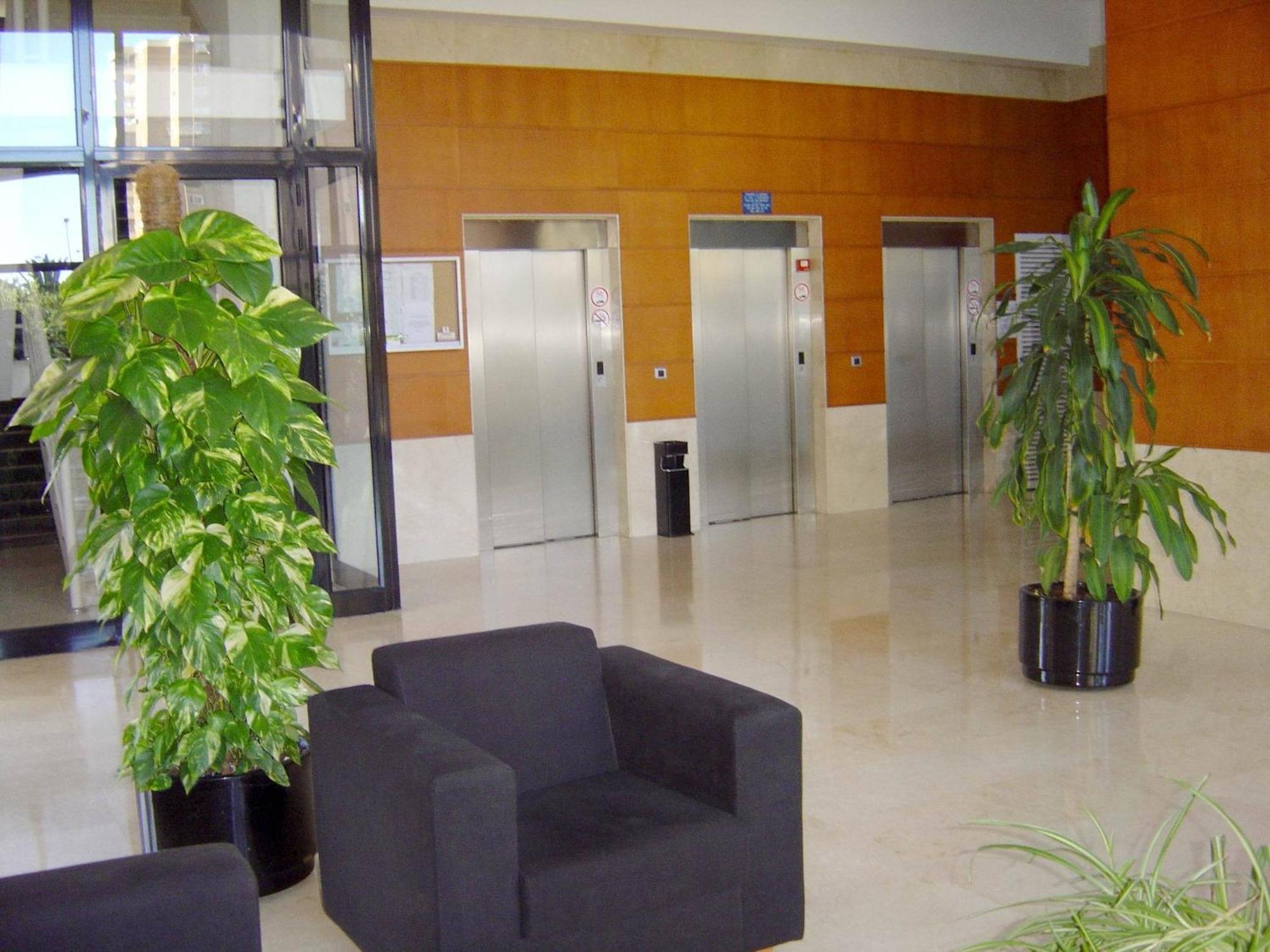 Apartamentos Torre Ipanema Бенидорм Екстериор снимка