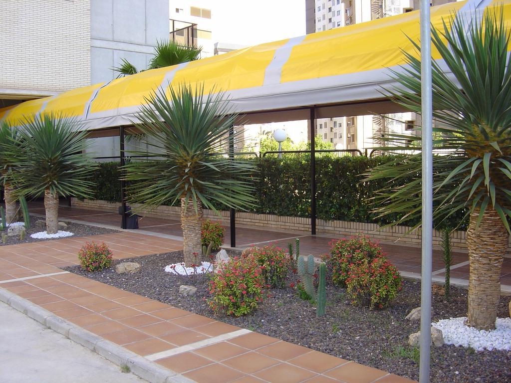 Apartamentos Torre Ipanema Бенидорм Екстериор снимка